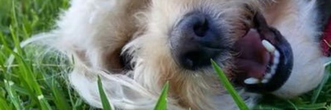 Jimmyz75's profile banner image