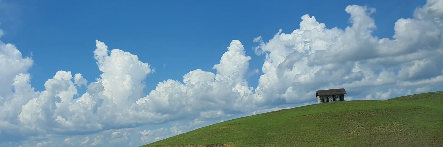 euLulugut's profile banner image