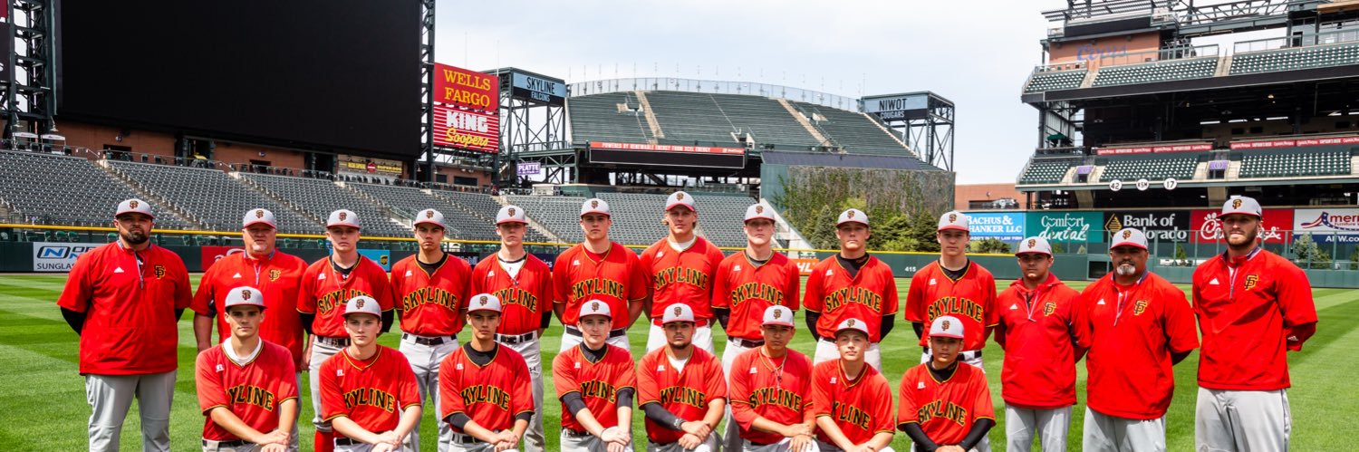 Skyline Baseball banner