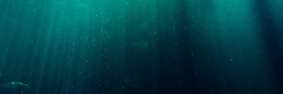 _Pfgg_'s profile banner image