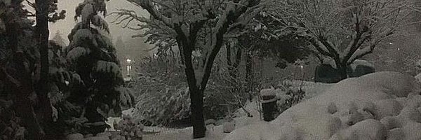 AyshaSusmaz Profile Banner