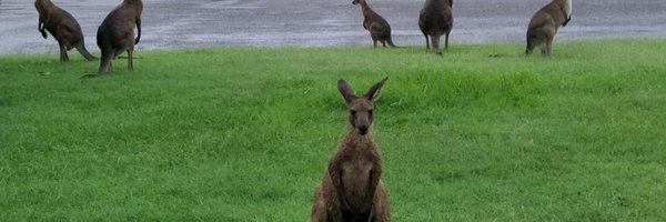 BryenSue Profile Banner