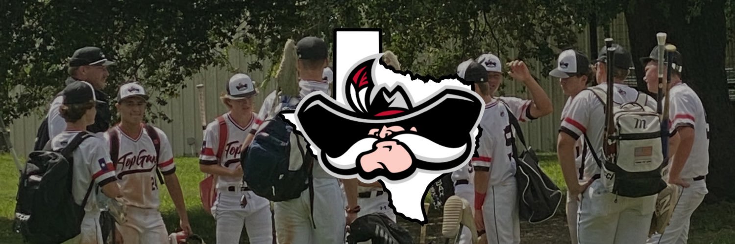 STX TOPGUNS BASEBALL banner