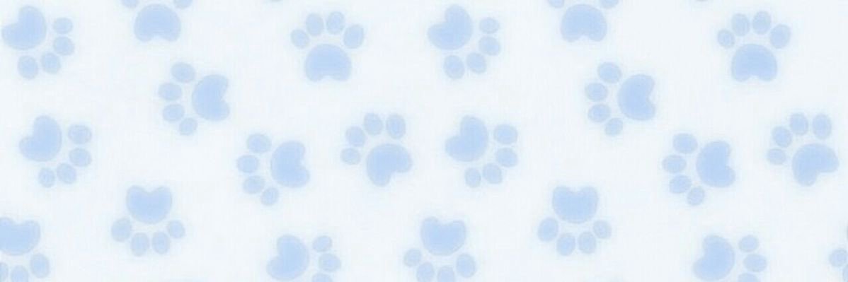 kyehoonscatcafe's profile banner image