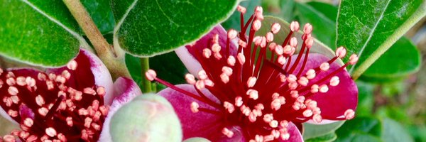 act_nowclimate Profile Banner