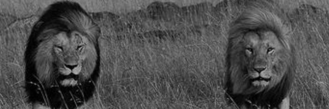 JeremyStanley_3's profile banner image