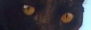 Daniela65710766's profile banner image