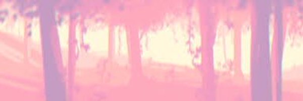 Tiffs351 Profile Banner