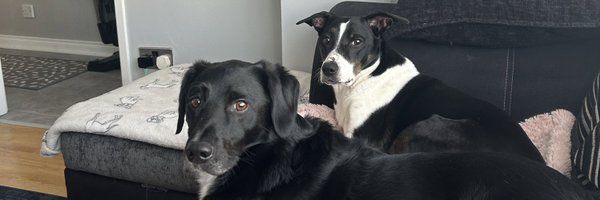 Stephen_2610 Profile Banner