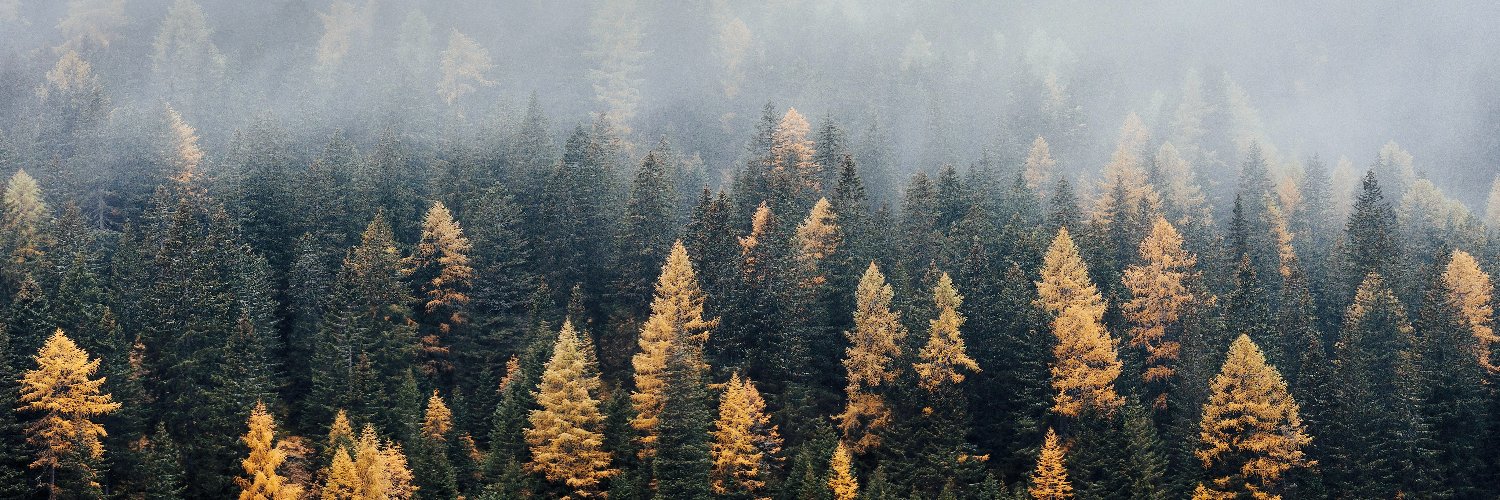 1% for the Planet banner