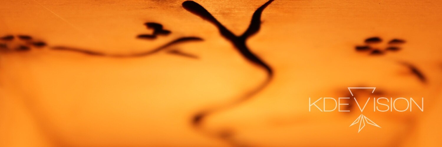 KadezaBegum's profile banner image