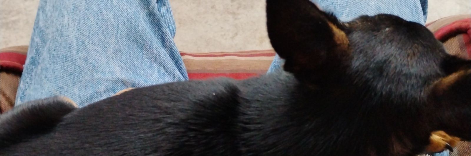 William_Scorpio🇺🇲 banner