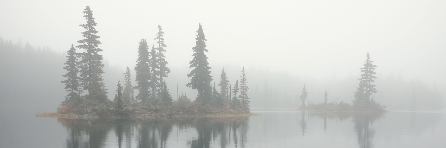 Dave McLaughlin banner