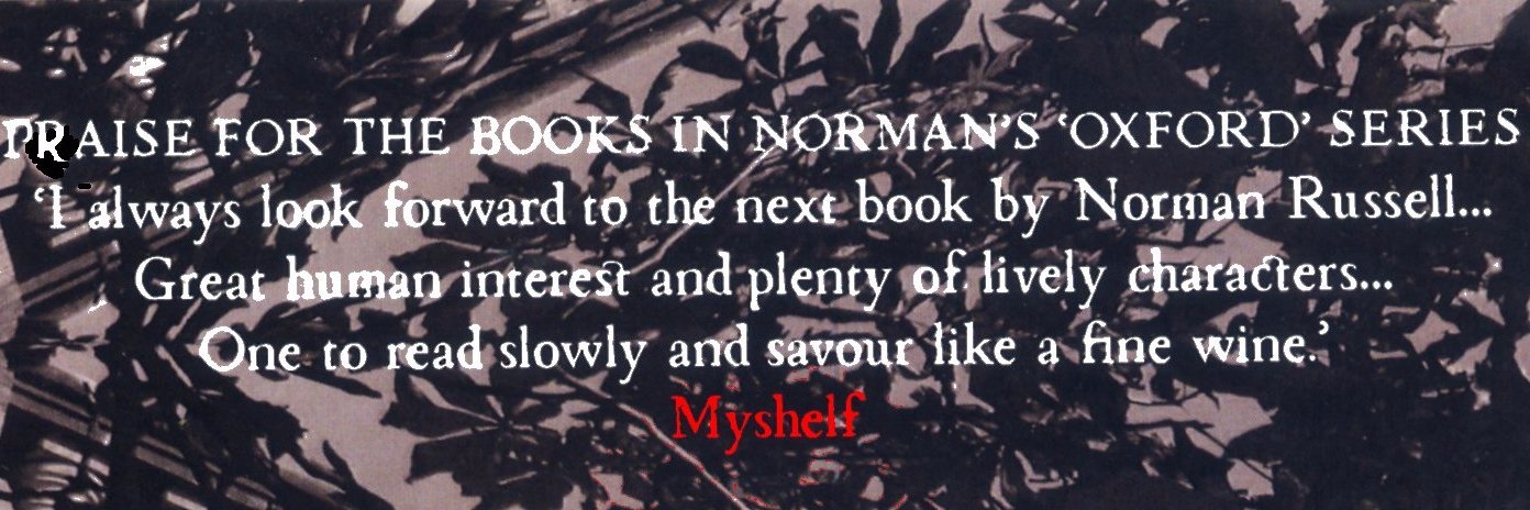myshelfdotcom's profile banner image