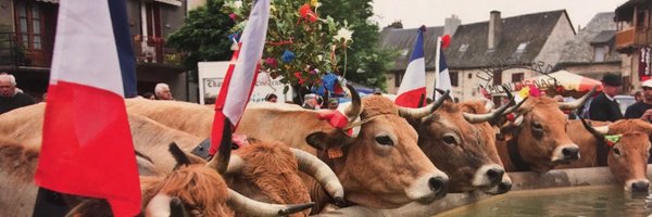 PierreHemon Profile Banner