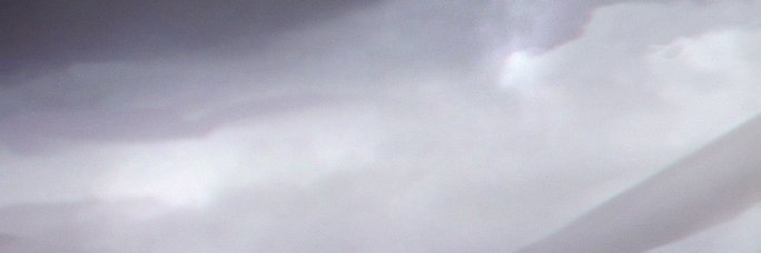 Venom banner