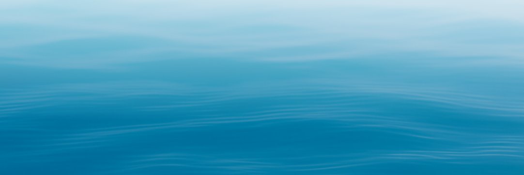 Perle Labs's banner