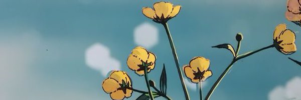 FluttershyRP0 Profile Banner