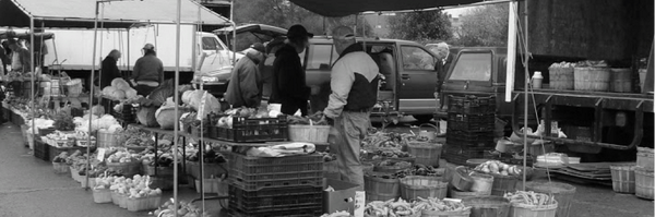 CrownPointHub Profile Banner