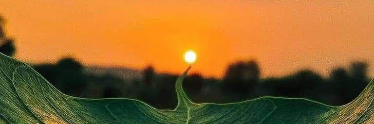 rahulsudhakar09's profile banner image