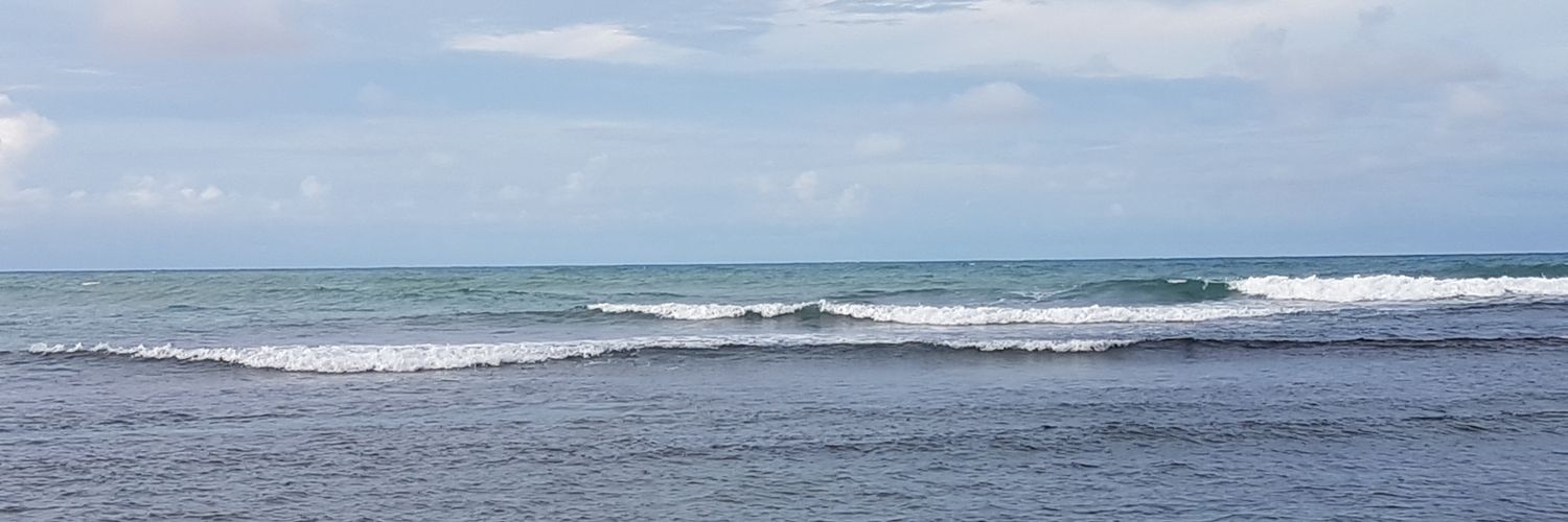 ElizabethB2430's profile banner image
