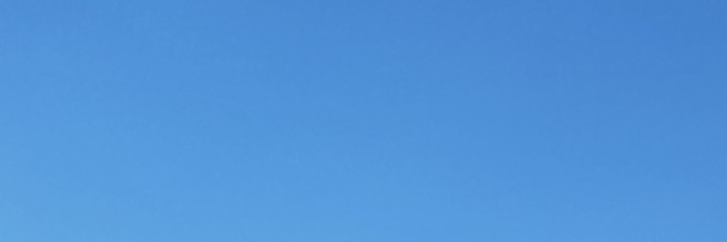 asia banner