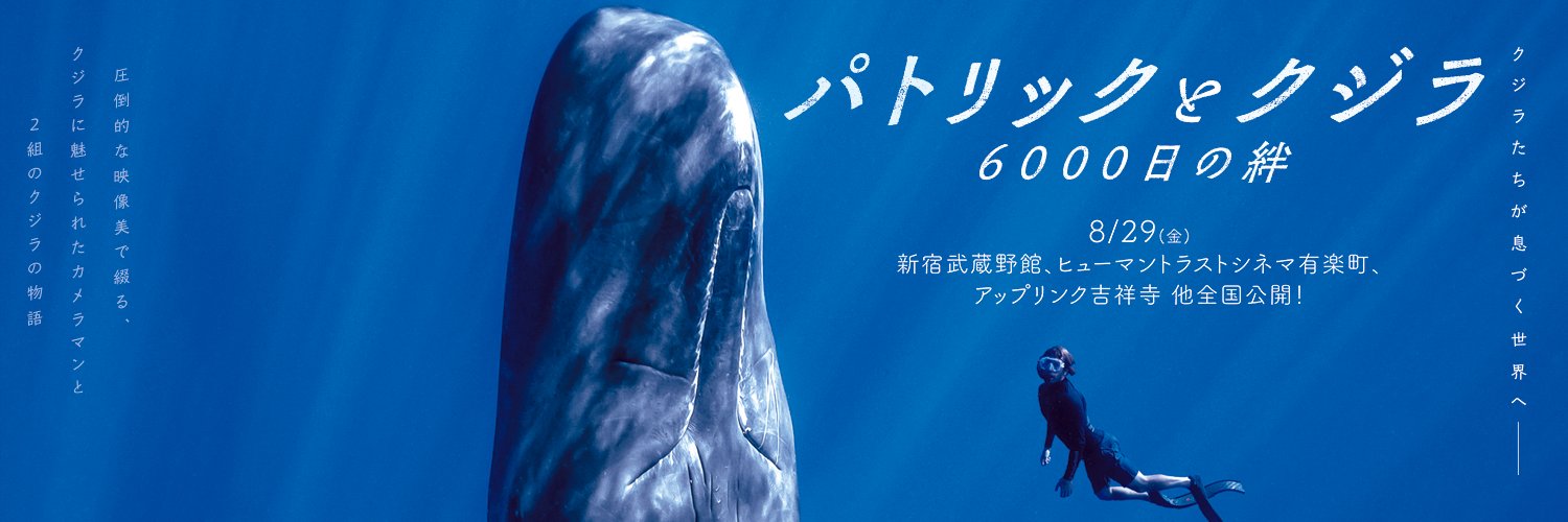 映画『パトリックとクジラ 6000日の絆』8.29公開's banner