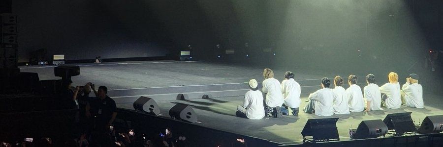 vieviez ✧ banner
