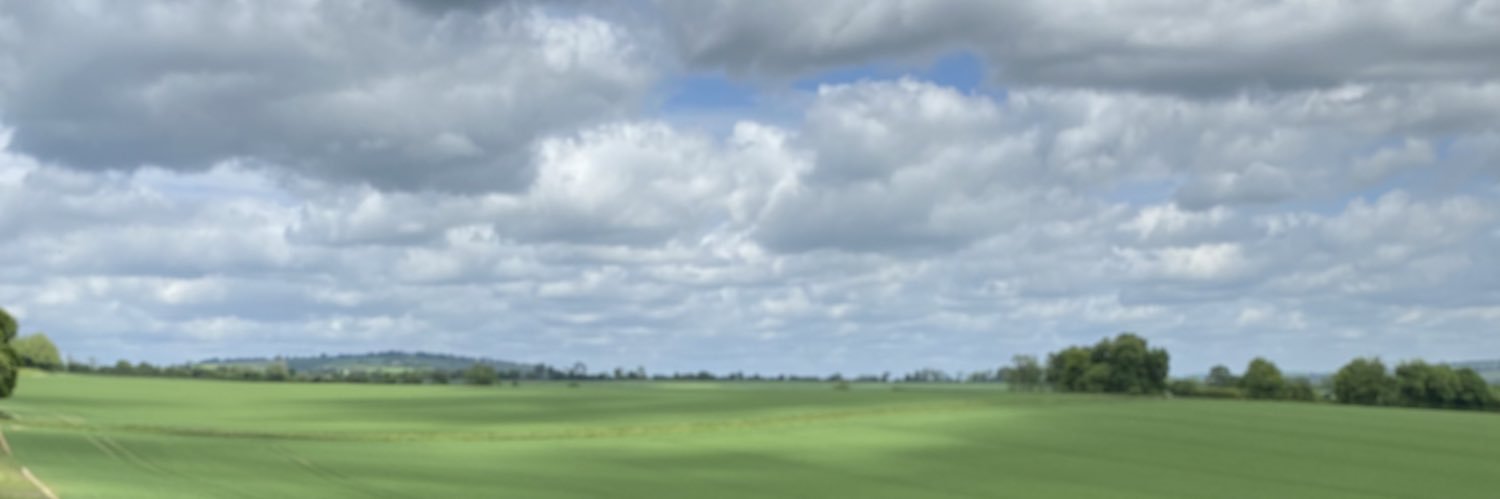 elesosa's profile banner image