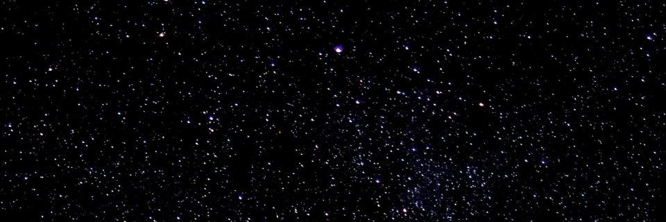 nyra_king's profile banner image