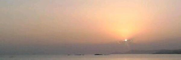 elfren0526 Profile Banner