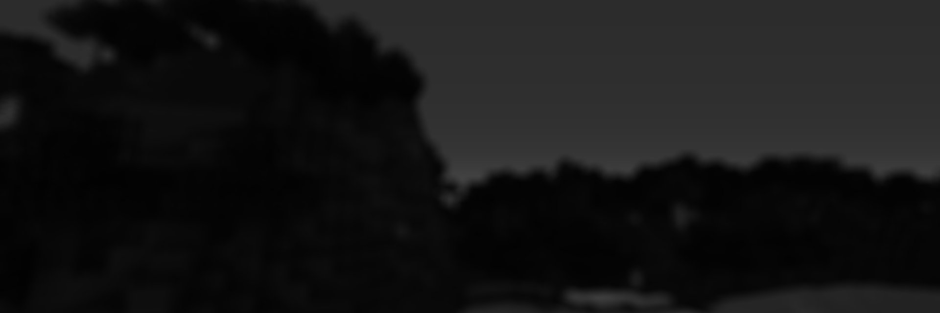 TylerTyza's profile banner image
