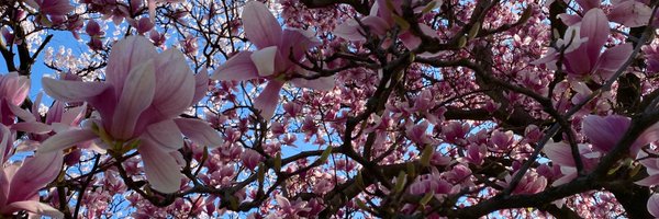 GBCaldwell Profile Banner