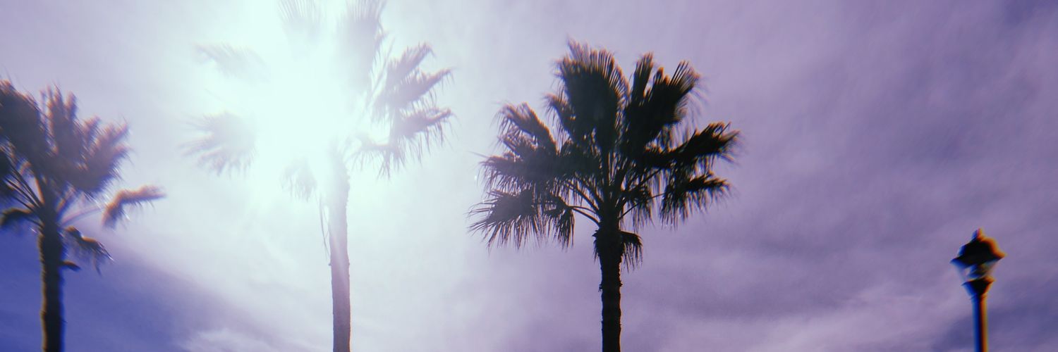 luisaferboni's profile banner image