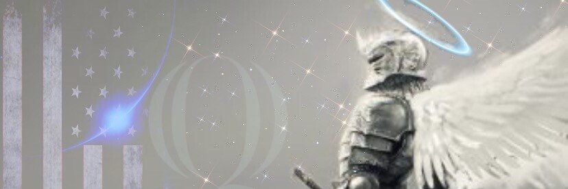 vidsurvdude's banner