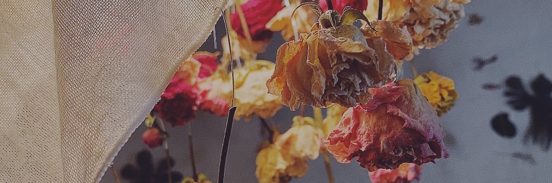 azuki__ba's profile banner image