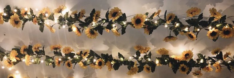 AlexissMcLean's profile banner image