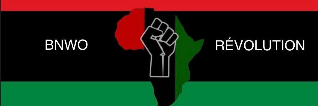 Charognard Afrique banner