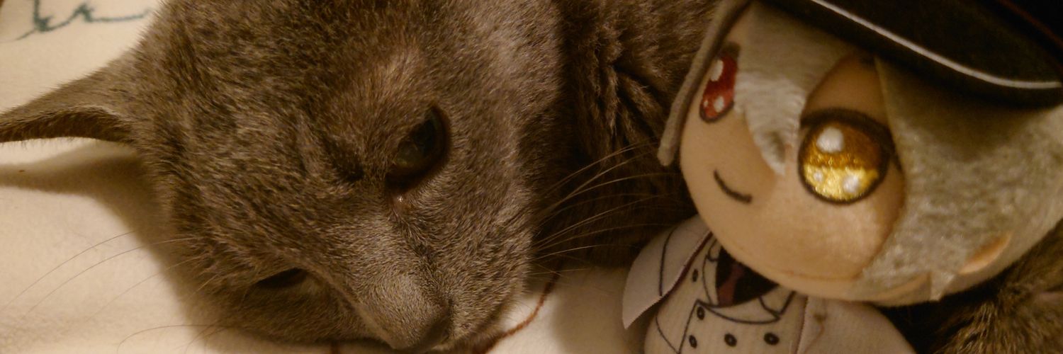 comoksan_pp's profile banner image