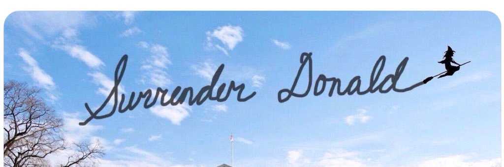 catsnevercloses's profile banner image