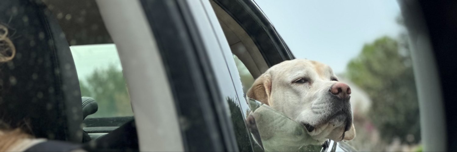 connorrizzy's profile banner image