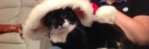 mackli19912 Profile Banner