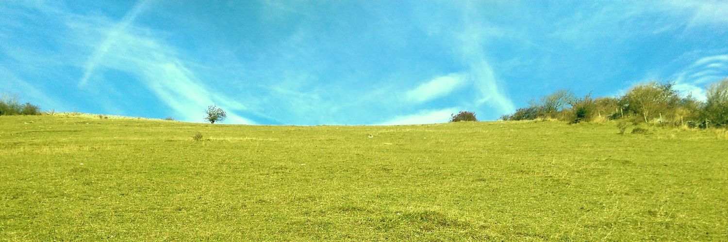 MindFlatulence's profile banner image