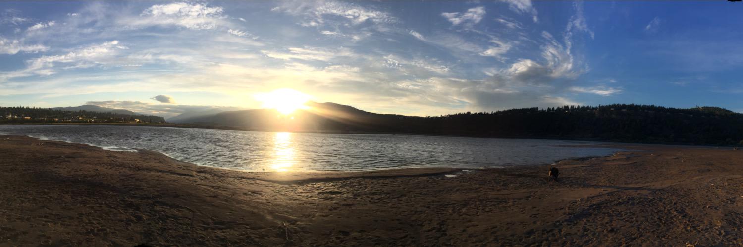 Matt Sweeting banner