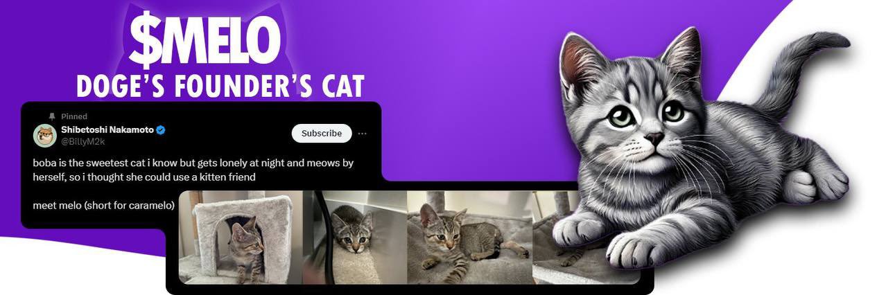 MELO_CTO's profile banner image