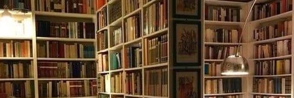 softrugged Profile Banner