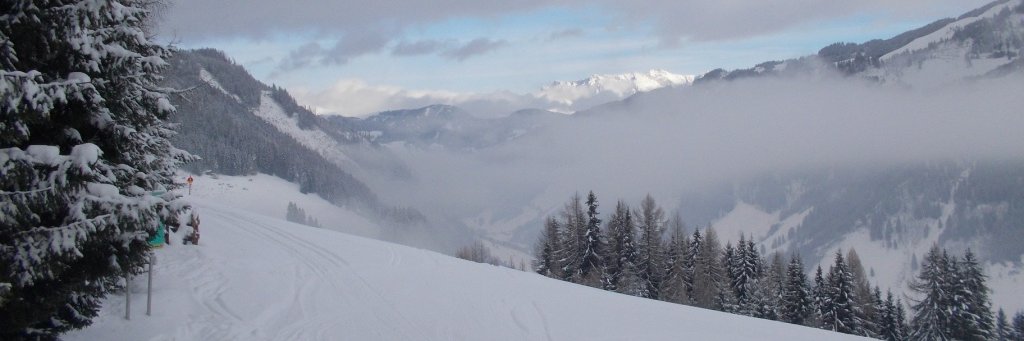 Staythismadness's profile banner image