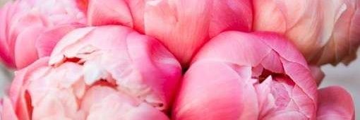 DionneShaw's profile banner image