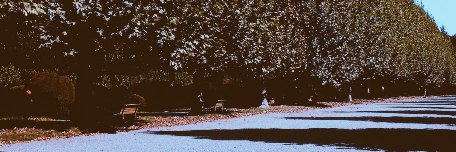 ᴛɪɴʏ ᴄᴏɴᴄᴇᴘᴛ タイニー banner