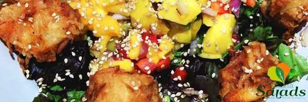 SaladsPV's profile banner image
